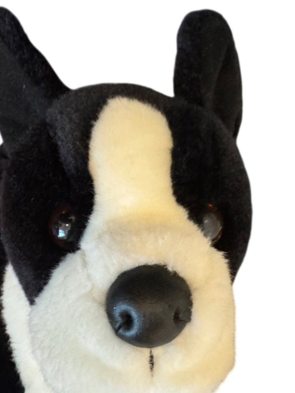 Douglas Cuddle Toy Willem Boston Terrier 2039 16” Rare Retired - Eye/Nose - Picture 3 of 10